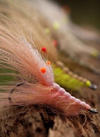 Ahrex NS150 Nordic Salt Curved Shrimp Fly Hooks