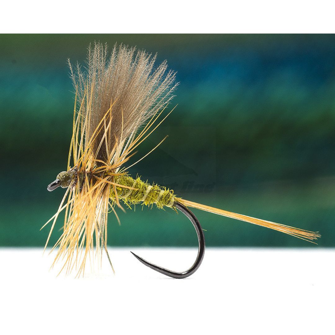 Catskill Olive Dun CDC Wings