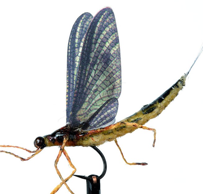 danica fly reel Realistic Ephemera Danica Set - Tube Body & Wings