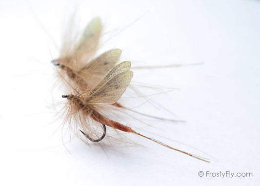 Realistic Mayfly Dry - In Action!
