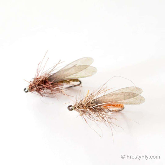 Hemingway's Stoneflies tied with Realistic Stonefly Wings