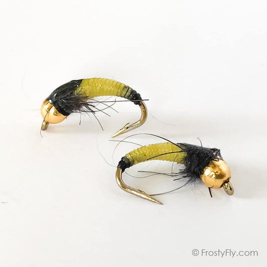 Lemon Black Scud Nymph ZTS1