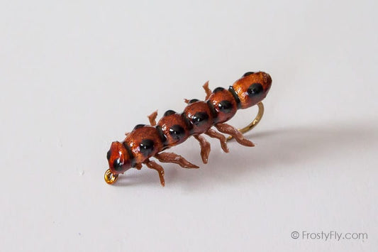 Realistic Caterpillar Fly - Brown