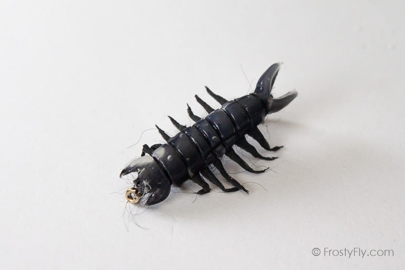 Realistic Hellgrammite Fly