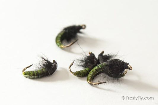 Realistic Hydropsyche Larva, Weighted