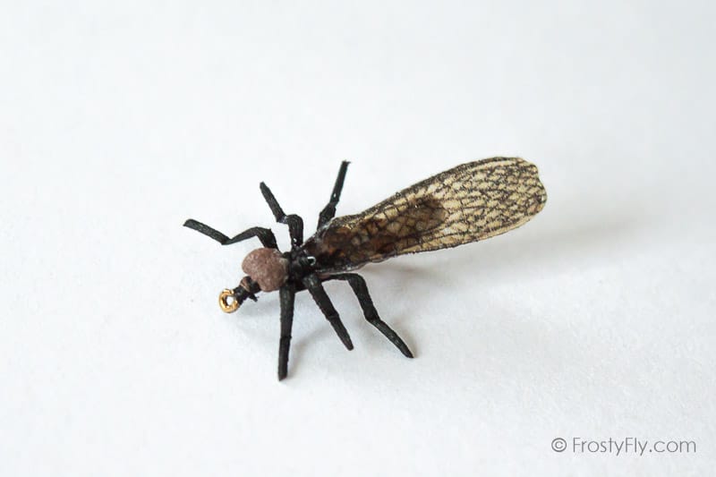 Realistic Stonefly Dry II - Little Black
