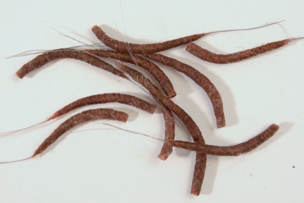 Hemingway's Mayfly Tube Bodies