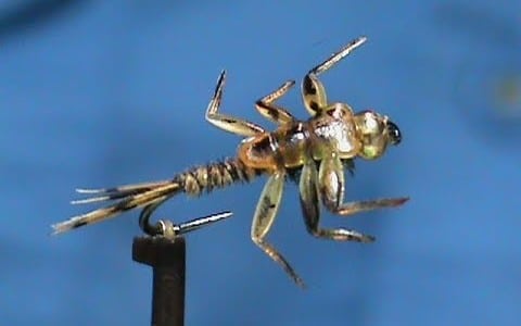 Fly Tying a Beadhead Hemingway's Rubber Legs Pheasant Tail with Jim Misiura