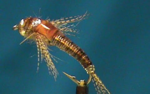 Beadhead UV Resin Mayfly Nymph