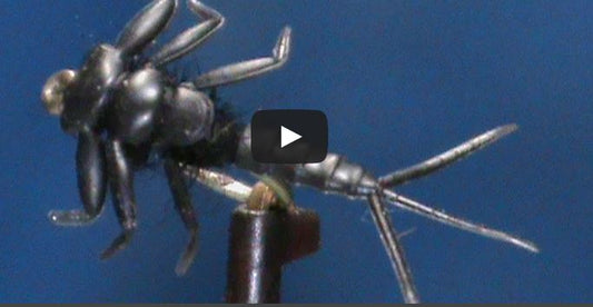 Beginner Fly Tying a Hemingway's Black Mayfly Nymph with Jim Misiura