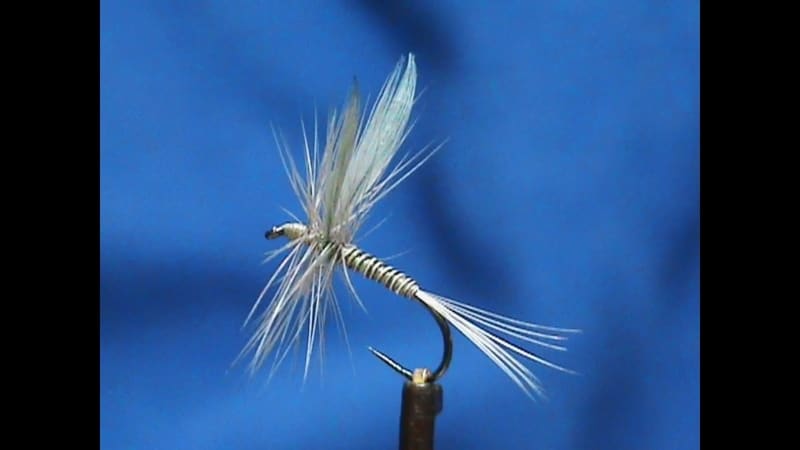 Beginner Fly Tying a Blue Quill with Jim Misiura – Frosty Fly