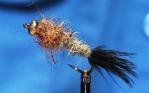 Bottom Scratcher Nymph Pattern by Jim Misiura