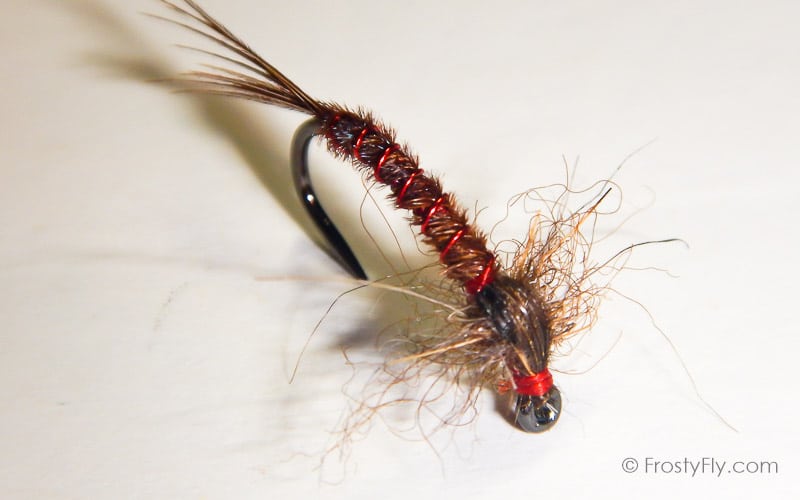 Cove's Style Pheasant Tail Nymph