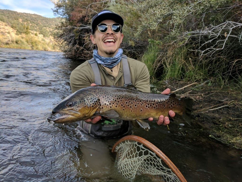 Daniel Parsons - Fly Guide