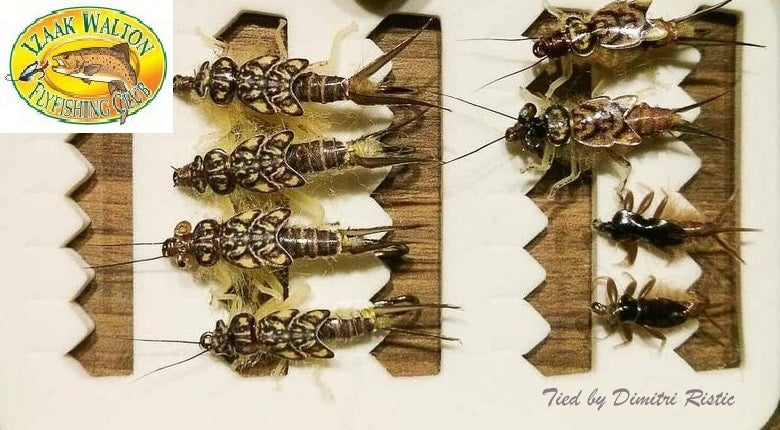 Dimitri Ristic Tying Stonefly Nymph @ Izaak Walton Fly Fishing Club