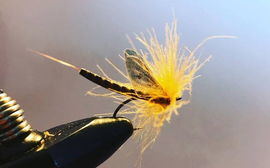 Fly Ting Brown Drake - Tied by Steven Craig