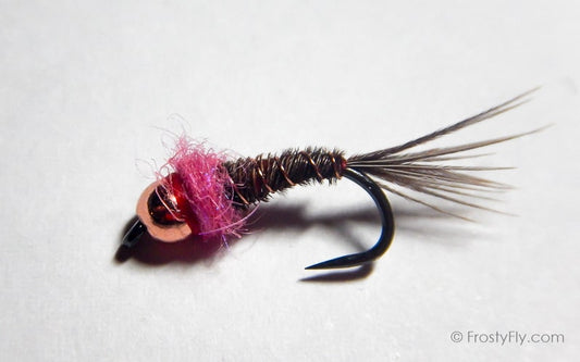 Frenchie Nymph