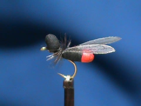 Beginner Fly Tying a FrostyFly Flying Ant with Jim Misiura – Frosty Fly