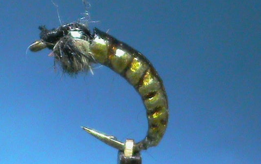 FrostyFly Hydropsyche Nymph with Jim Misiura