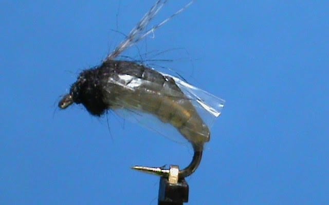 FrostyFly Silicone Body Pupa with Jim Misiura