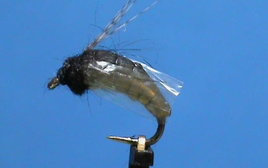 FrostyFly Silicone Body Pupa with Jim Misiura