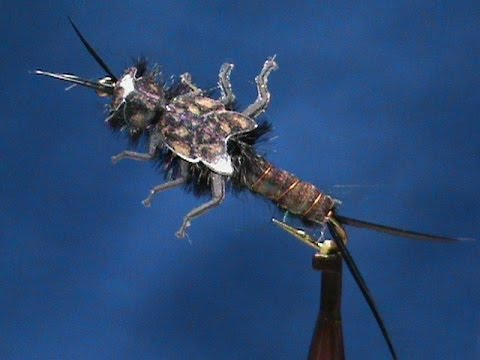 fly tying Stonefly Nymph - Giant Black Stonefly