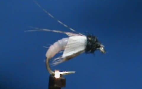 Jim Misiura' Gimmie Caddis Pupa