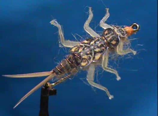 Hemingway's Golden Stonefly Nymph