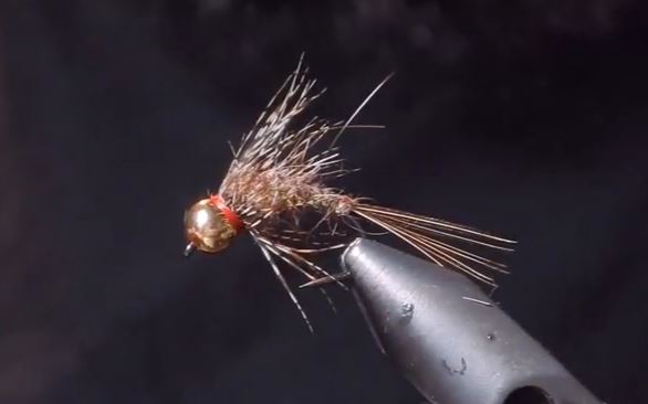 Guide's Hare's Ear Nymph