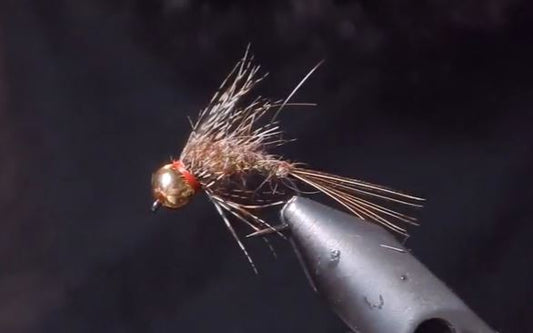 Guide's Hare's Ear Nymph