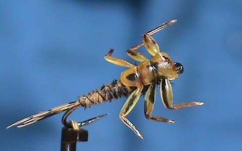 Hemingway's Rubber Legs Pheasant Tail Nymph
