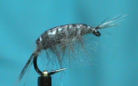 Hemingway Scud Fly