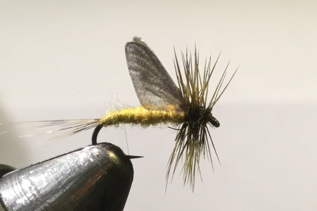 Hemingway's BWO Dry Fly