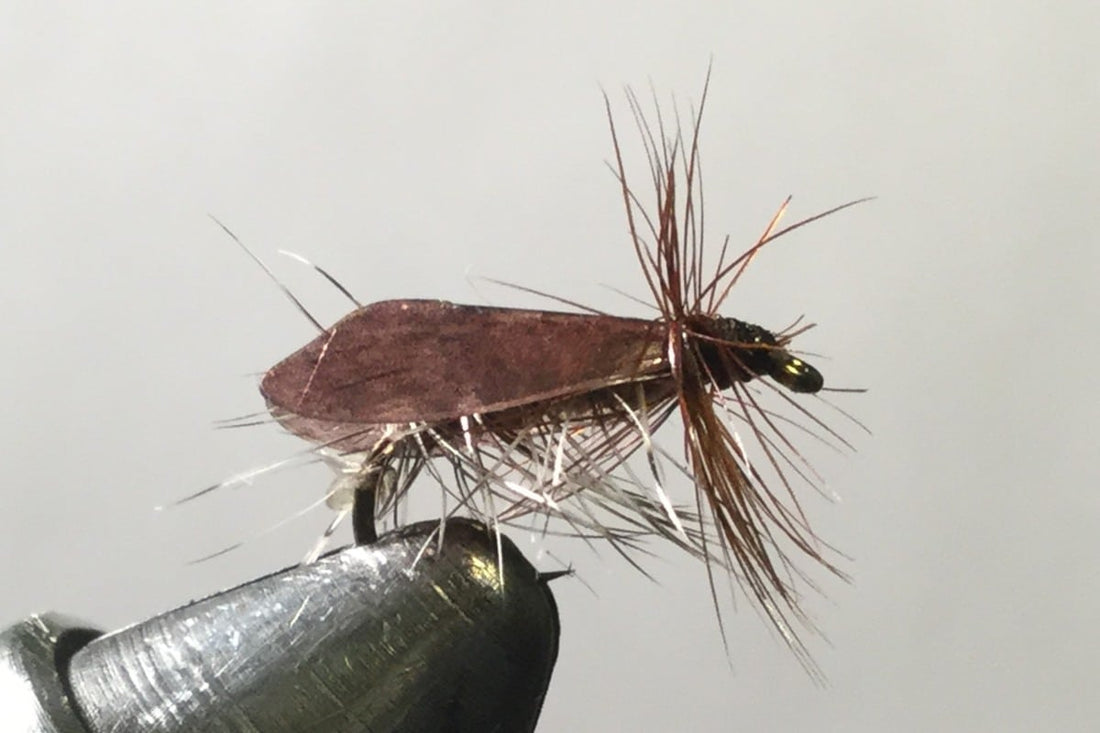 Hemingway's Caddis Dry Fly