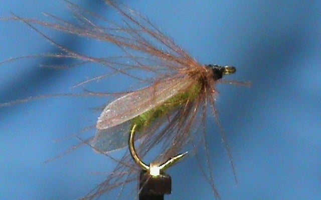 Hemingway's Caddis Flymph tied by Jim Misiura