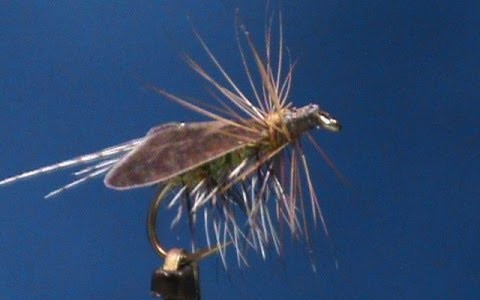 Hemingway's Caddis Special