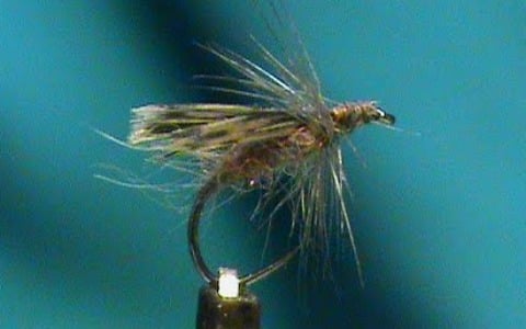 Hen Back Caddis by Jim Misiura