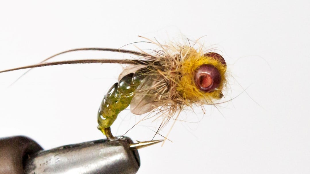 How to tie Realistic Caddis Emerger - Fly Tying Video Instructions