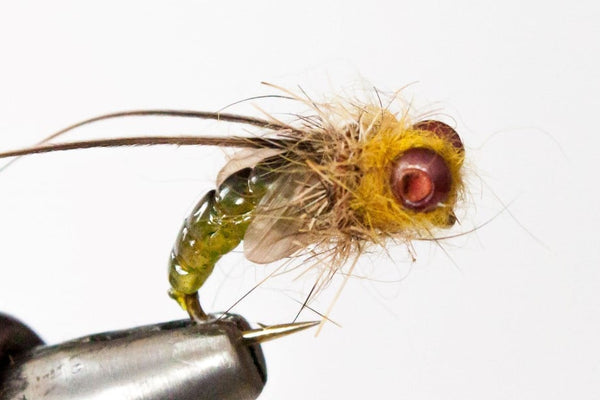 How to tie Realistic Caddis Emerger