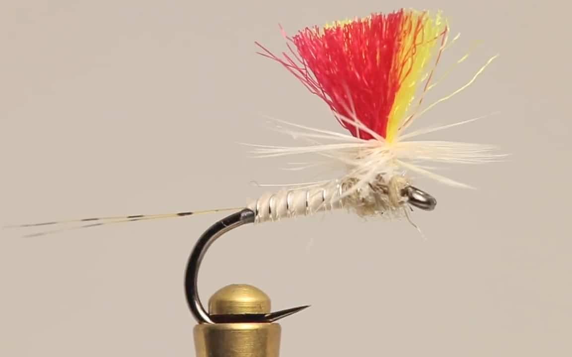 Indicator Mayfly Fly Tying Tutorial by The Fly Fiend – Frosty Fly