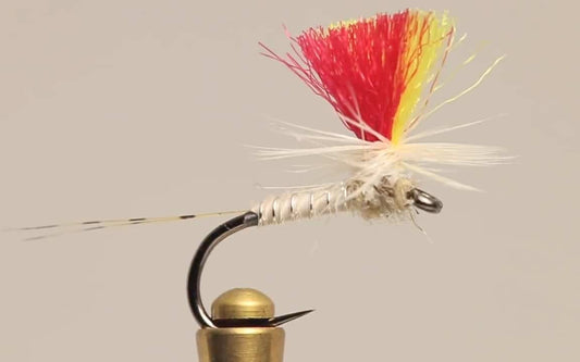 Indicator Mayfly