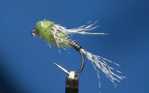 Olive Quill Jig Head Nymph by Jim Misiura