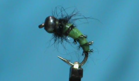 Ribbed Caddis Larva by Jim Misiura