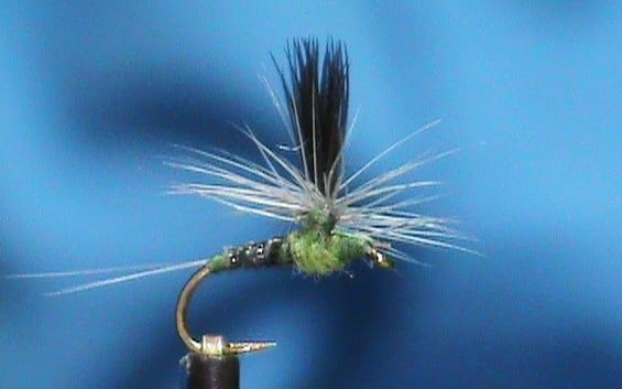 Magic Quill Blue Wing Olive Parachute tied by Jim Misiura