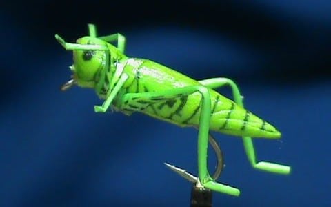 Jim Misiura's FrostyFly No-Tie Chartreuse Hopper