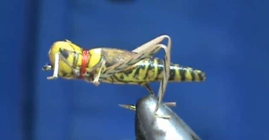 No-Tie Realistic Grasshopper