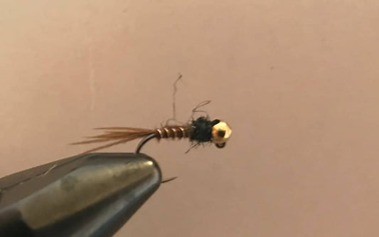Pheasant Tail Jig Nymph by Steven Craig