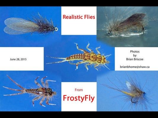 Our Customers' Photos: Hemingway's Realistic Flies as Seen by Brian Briscoe