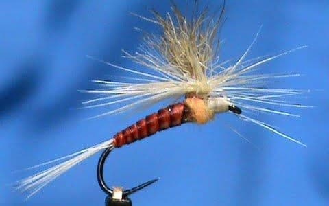 Quill Sulphur Parachute tied by Jim Misiura