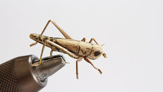 Realistic Hopper - Tan